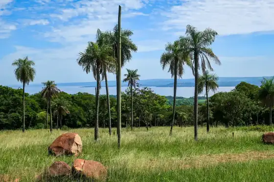 Lake-view plots at Parque Alto 3