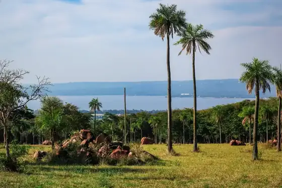 Lake-view plots at Parque Alto 4