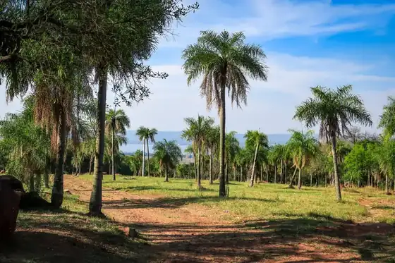 Lake-view plots at Parque Alto 5
