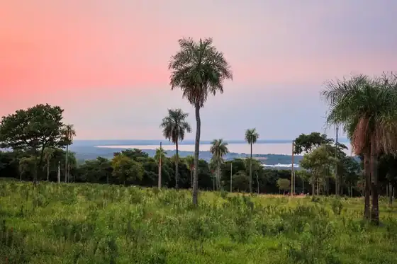 Lake-view plots at Parque Alto 6