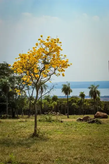 Lake-view plots at Parque Alto 9
