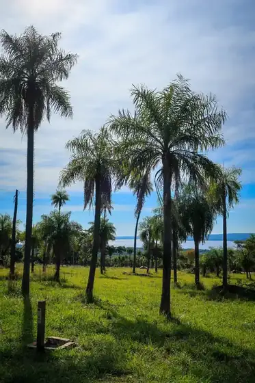 Lake-view plots at Parque Alto 10