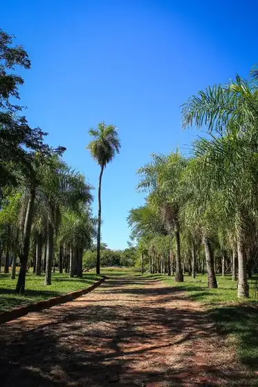 Lake-view plots at Parque Alto 11