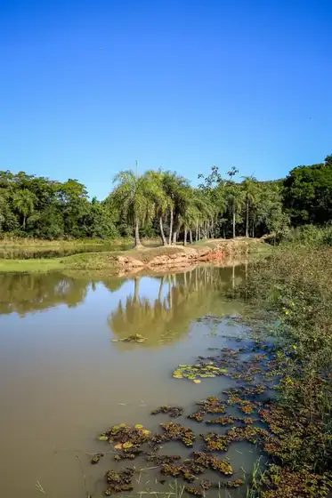 Lake-view plots at Parque Alto 12