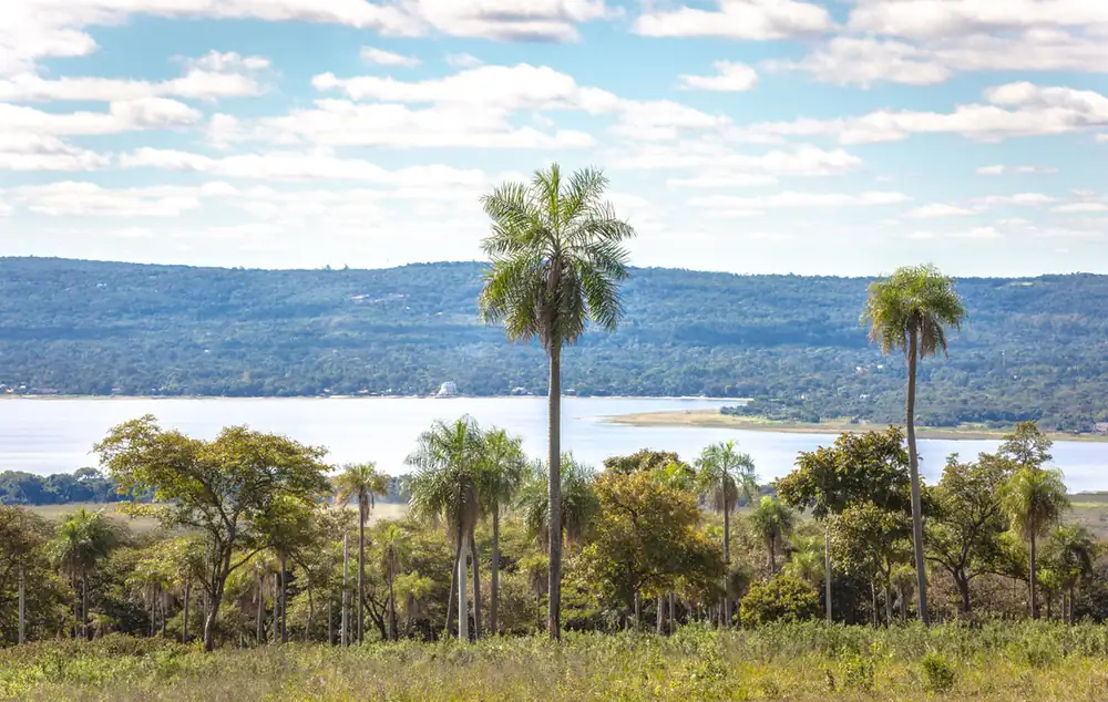 Lake-view plots at Parque Alto 1