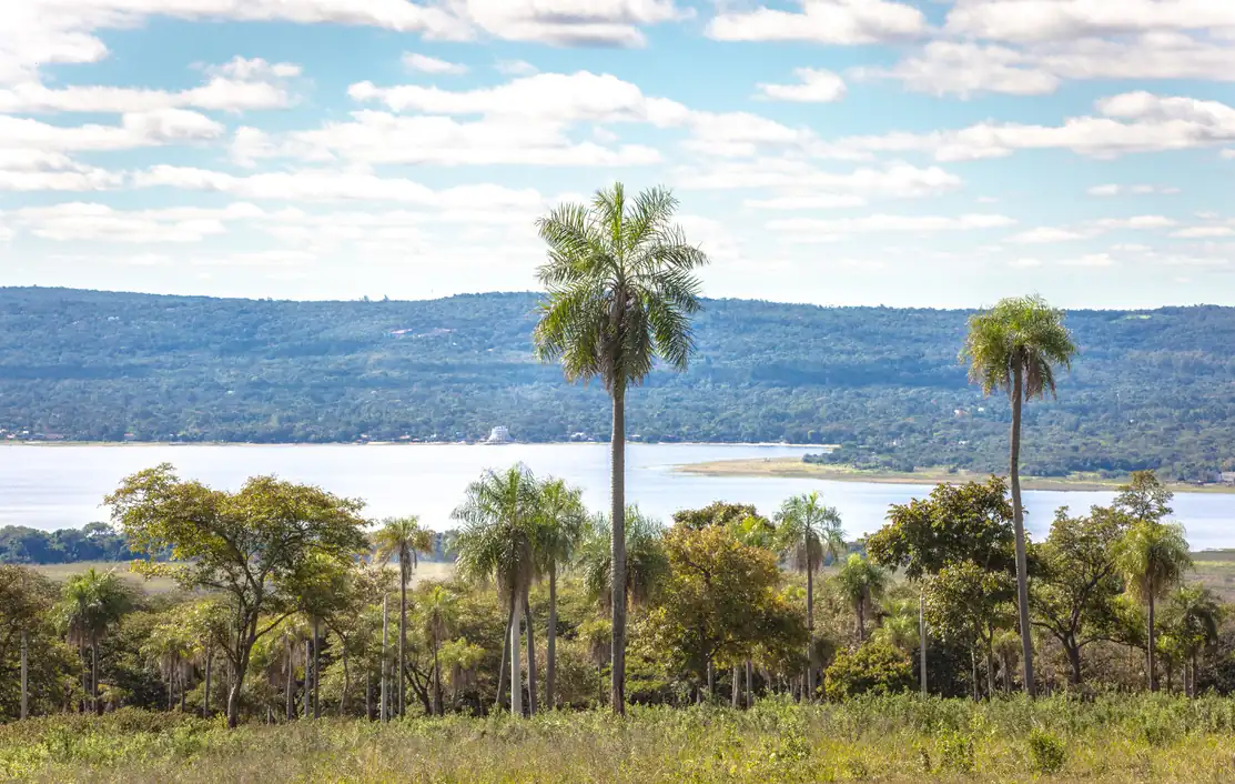 Lake-view plots at Parque Alto