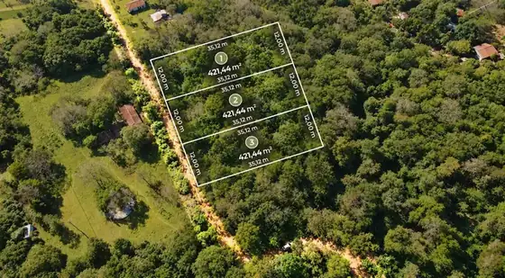 Tres lotes arbolados en Ypacaraí 2
