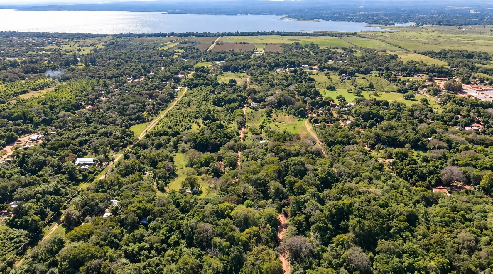 Tres lotes arbolados en Ypacaraí